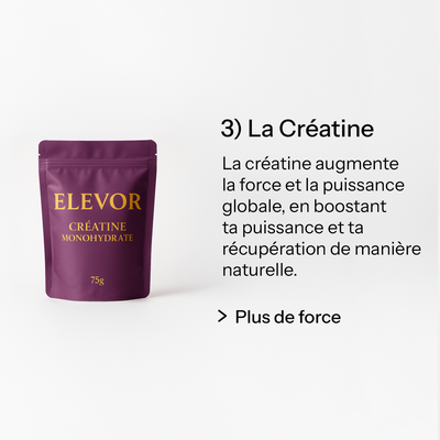 Starter Pack ELEVOR™